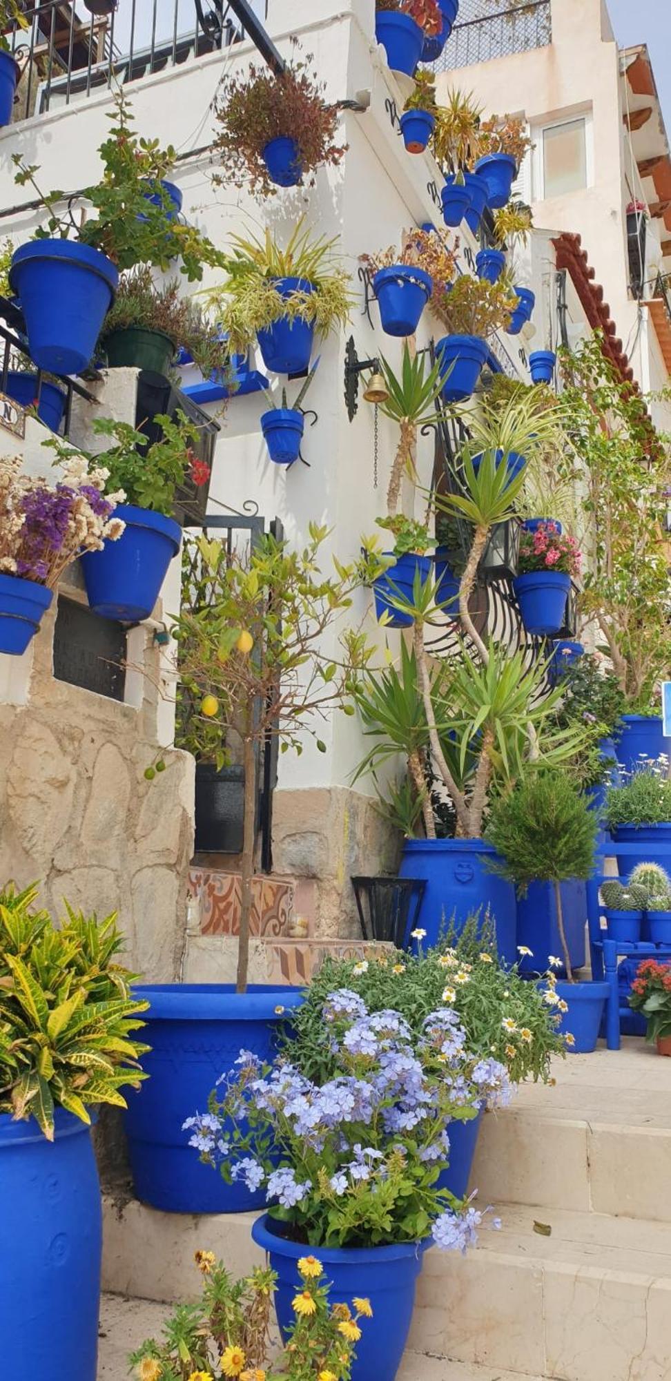 El Barrio Alicante , Playa Y Casco Antiguo Екстер'єр фото